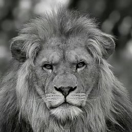 ���� ������, ������, 30 ��� - ��������� 13 ������� 2023