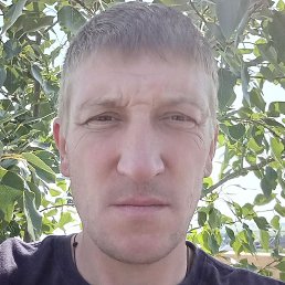 ���������, �������, 39 ���