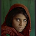 ���� ������, ������, 80 ��� - ��������� 17 ������� 2023 � ������ ���� ����������