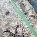 ���� Alexander, �����������, 44 ���� - ��������� 29 ���� 2023 � ������ ���� ����������