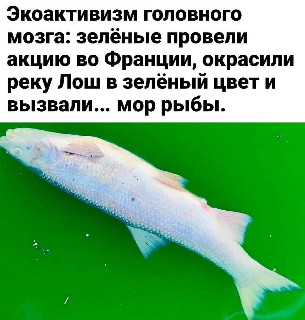 Слабоумие и отвага | Бизнес Идеи! | Фотострана | Пост №2624345500