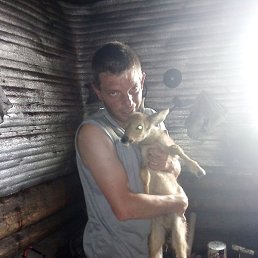 ������� �����������, ���������, 39 ���