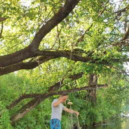 ���� ������, ������, 38 ��� - ��������� 29 �������� 2023