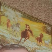 ���������, 34 ����, ������