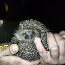 ���� ������, ��������, 49 ��� - ��������� 13 ���� 2023 � ������ ���� ����������