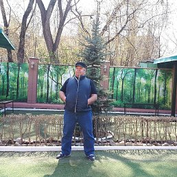 Ion, �������, 67 ���