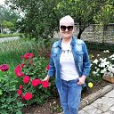 ���� T������, �����������, 68 ��� - ��������� 2 ������ 2023 � ������ ���� ����������