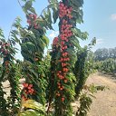 ���� ������, �����, 58 ��� - ��������� 2 ������� 2023 � ������ ���� ����������