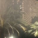 ���� �������, ����, 42 ���� - ��������� 17 ����� 2023