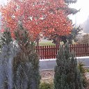 ���� Ljiljana, ������� - ��������� 24 �������� 2023 � ������ ������ ��������