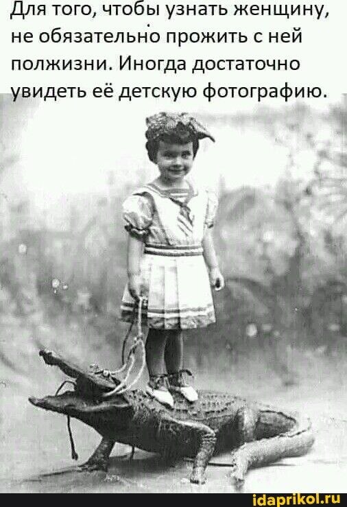  - 11  2023  22:48