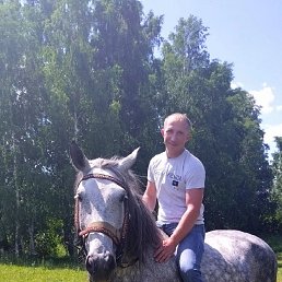 ���� ��������, �������, 42 ���� - ��������� 4 �������� 2023