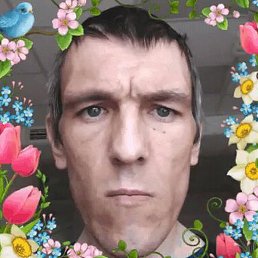 ���, ������, 41 ���