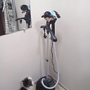 ���� �������, ������, 50 ��� - ��������� 6 ���� 2023 � ������ ���� ����������