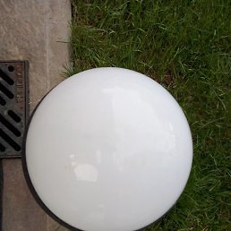 ���, ������, 39 ���