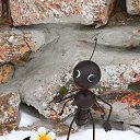  ***L***,   -  8  2023   ʻ