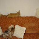 ���� �������, �����-���������, 51 ��� - ��������� 15 ���� 2023