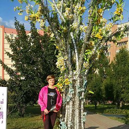 ������, ������ ��������, 47 ���