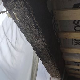 ���� �����, ������, 37 ��� - ��������� 26 ������� 2023