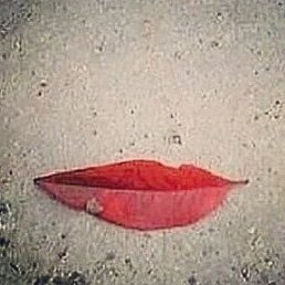 ���, ���������, 55 ���