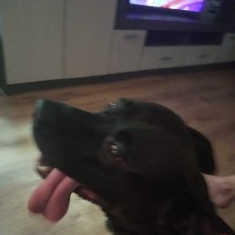 ���� �������, ������, 37 ��� - ��������� 10 ������� 2023