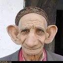 ���� �����, �����, 44 ���� - ��������� 17 ������ 2023