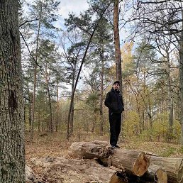 ���� �������, ������, 48 ��� - ��������� 27 ���� 2023