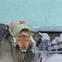 ���� ��������, ������, 49 ��� - ��������� 30 ������ 2023 � ������ ���� ����������