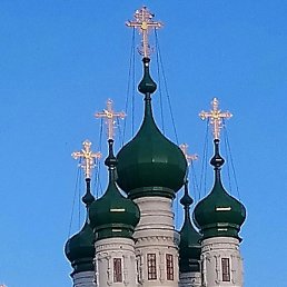 ������, ������, 49 ���