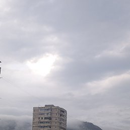 ���������, ������, 44 ����