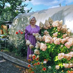 ���� ������, ������, 65 ��� - ��������� 22 ���� 2023