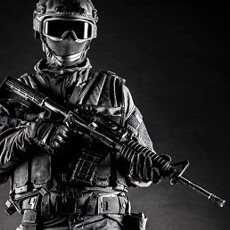 �����, ���������, 25 ���