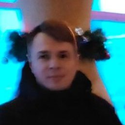 ����, ������, 66 ���