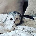 ���� �������, �������, 21 ��� - ��������� 31 ������� 2023 � ������ ���� ����������