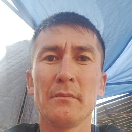 ������, ���������, 43 ����