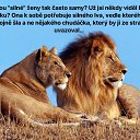 ���� Host, ����, 61 ��� - ��������� 29 �������� 2023 � ������ ���� ����������