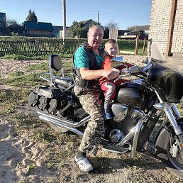 �����, ������, 81 ���