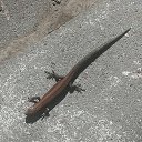 ���� ������, ����-���������, 61 ��� - ��������� 28 �������� 2023 � ������ ���� ����������