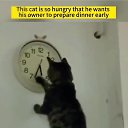 ���� �����, ����, 33 ���� - ��������� 5 ���� 2023 � ������ ������ ��������