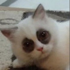 -  ,   ? : - 3