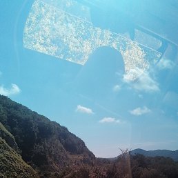 ���, ����, 29 ���