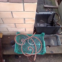 �������, ���������, 51 ���