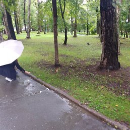 ���� ���, �����������, 56 ��� - ��������� 20 �������� 2023