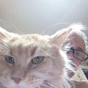 ���� ��������, �����, 59 ��� - ��������� 18 ������� 2023 � ������ ���� ����������