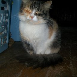 ������, �����-���������, 46 ���