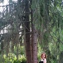 ���� �����, ��������, 52 ���� - ��������� 25 ���� 2023