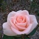 ���� �������, �����, 66 ��� - ��������� 21 �������� 2023 � ������ ���� ����������