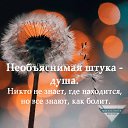 ���� ������, ���� - ��������� 16 ����� 2023 � ������ ������ ��������