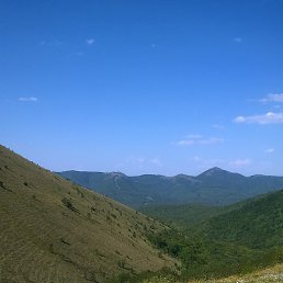 ����, �����������, 84 ����