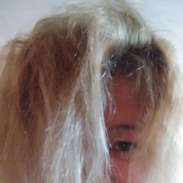 ���� ������, ����, 51 ��� - ��������� 13 ���� 2023